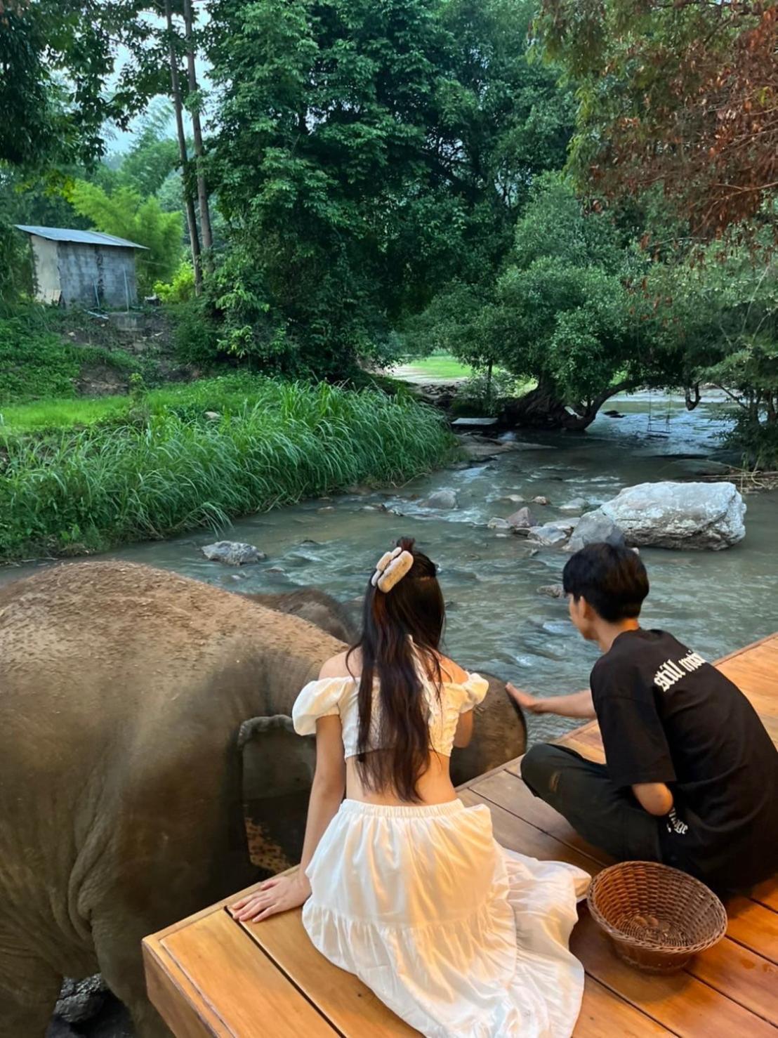 3Pok-Riverside Maewangjinxiang Mae Wang Dış mekan fotoğraf