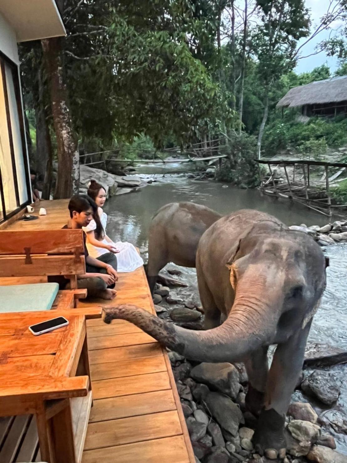 3Pok-Riverside Maewangjinxiang Mae Wang Dış mekan fotoğraf