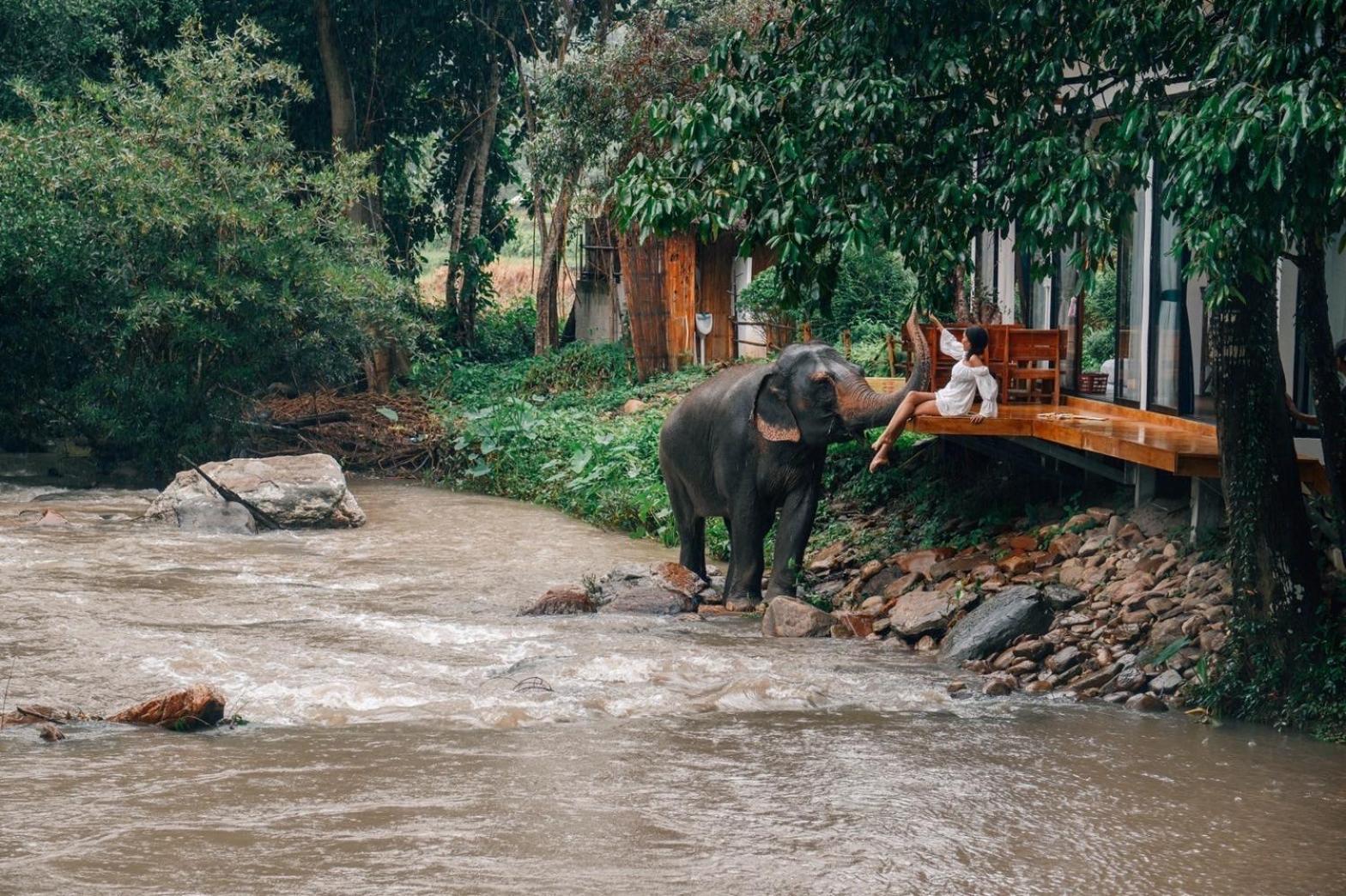 3Pok-Riverside Maewangjinxiang Mae Wang Dış mekan fotoğraf