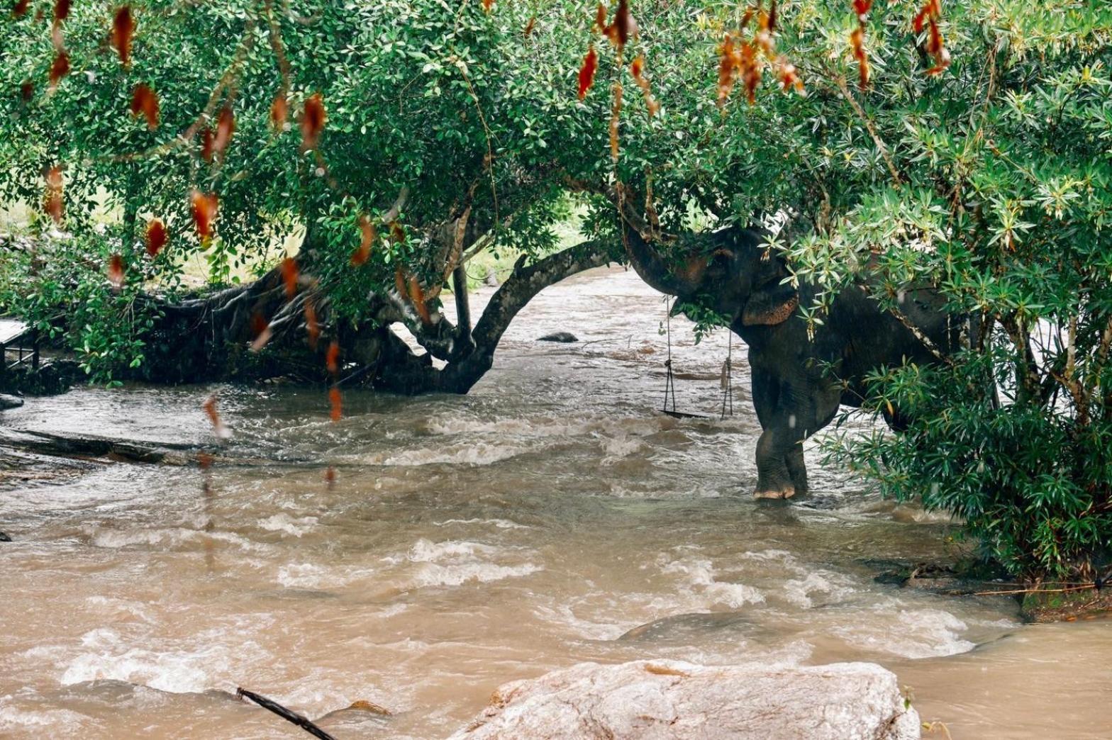 3Pok-Riverside Maewangjinxiang Mae Wang Dış mekan fotoğraf